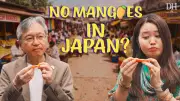 Japanese Visitors Explore Mango Varieties at Bengaluru Mango Mela