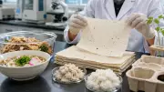 Japan's Discarded Udon Noodles Transformed into Biodegradable Paper