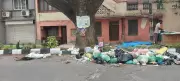 Jayanagar 2nd Block battles mounting garbage crisis amid irregular collection