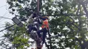 JBVNL to Install Cable Markers in Ranchi to Prevent Power Outages