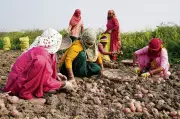 J&K Notifies VB-G RAM-G Scheme Replacing MGNREGA from July 1, 2026