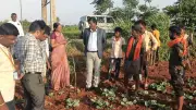 Karnataka DC Visits Farmer After Kids Shown Ploughing Field