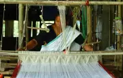 Kaziranga National Park Launches Eco-Shop on E-Commerce and GeM Platforms