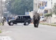 Kerala Unveils Total Defence System to Curb Wildlife Attacks on Human Settlements