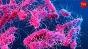 Kerala’s First Shigella Death: Symptoms, Spread, and Prevention Tips