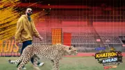 Khatron Ke Khiladi 15 Premiere Date Announced: When and Where to Watch