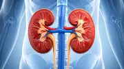 Kidney Disease: Global Burden, Early Detection, and New Treatments