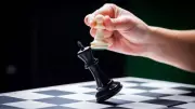 King and Pawn End in the Same Box: A Timeless Lesson on Humility