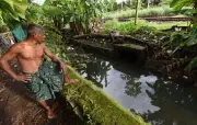 Kochi Corporation Resumes Canal Desilting to Combat Waterlogging Before Monsoon
