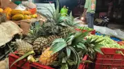 Kochi's Vazhakulam Pineapple Hits Record Rs 74/kg Amid Supply Crisis