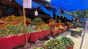 Kolar Protests Disrupt Bengaluru Mango Markets, Traders Struggle