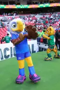 Kolkata Cable Operators Ready for FIFA World Cup with Channel Packages