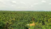 Kumaraswamy slams Karnataka govt over Bidadi land acquisition, calls it 'war on farmers'