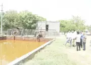 Kutana CETP Upgrade Planned After Pollution Complaints