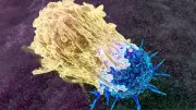 Life After Cancer: The Untold Reality of Healing and Recovery