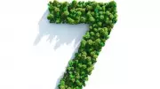 Love Lessons Written in Your Birth Number: Numerology Insights