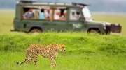 Luxury Redefined: Why Affluent Travelers Are Choosing African Safaris Over Opulent Resorts