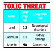Madurai Millers Say Heavy Metals in Besan Come from Farms, Not Mills