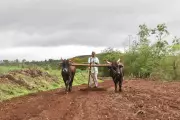 Maharashtra farmers face crisis as water restrictions hit kharif sowing