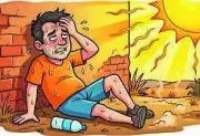 Maharashtra Heatwave: 306 Heatstroke Cases, 10 Deaths Reported Since March