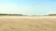 Maharashtra Tribal Kids Become Land Rights Ambassadors in Palghar