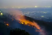 Major Forest Fire in Himachal's Solan District Contained After Six Hours