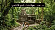 Mallikarjuna Jyotirlinga: India's Only Temple Inside a Tiger Reserve