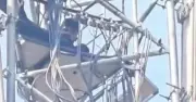 Man climbs mobile tower in Hazaribag over land mutation, CM intervenes