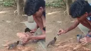 Man Feeds Coconut Water to Bird with Dropper in Viral Heartwarming Video