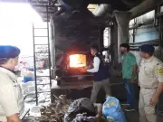 Mandi Police Destroy Drugs Worth Crores on Anti-Chitta Day