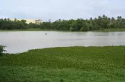 Mandya DC Orders Action to Clear Lake Encroachments, Protect Water Bodies