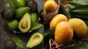 Mango vs Avocado: Which Summer Fruit Is More Nutritious?