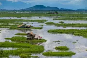 Manipur to Build Museum for Tribal Freedom Fighter at Kangla Fort