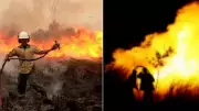 Massive Fire in Central Jakarta Destroys 250 Homes, Displaces 300 Families
