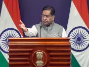 MEA Rejects Pakistan President's Remarks as 'Absurd', Says No Locus Standi