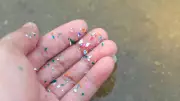 Microplastics in Human Tissues: New Concerns for Reproductive Health
