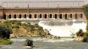 Mini Hydel Mega Damage: Elephants, Tigers and the Cauvery at Risk