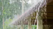 Monsoon Advances Across India: Travel Guide for Peak Season