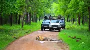 Monsoon Wildlife Tourism Gains Popularity Among Hyderabadis