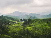 Mountain Bookings Up 76% in June as Urban Indians Flock to Hills: Zostel