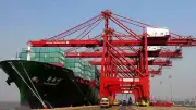 Mumbai Port Authority Plants 1,500 Trees to Boost Green Cover
