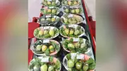 Murshidabad Mango Festival 2026 Highlights Heritage and Conservation