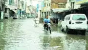 Nabha Residents Allege Inadequate Drain Desilting Ahead of Monsoon