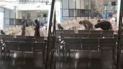 Namaz Video at Vadodara Hospital Sparks Controversy, Inquiry Ordered