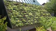 Nature-Based Solutions: Hype or Hope for Climate Targets?