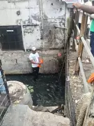 NCSC Notice to PCMC Over Manual Nullah Cleaning Violations