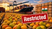 Nepal Restricts Mango Imports from India Over Pesticide Concerns