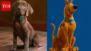Netflix Unveils First Look at 'Scooby-Doo: Origins' Live-Action Series