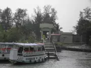 New Guide Rule in Sundarbans Tiger Reserve Sparks Confusion and Protests