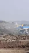 NGT Flags Discrepancies in Haryana's Environmental Compensation Report